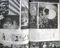 写真サロン 昭和35年11月号　特集/人工光ライティングのすべて　玄光社　v