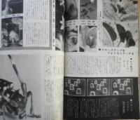 写真サロン 昭和35年9月号　特集/私の選んだ50のカメラ　玄光社　c
