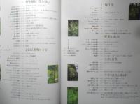 四季の保存食 伊藤睦美　2000年初版　フジテレビジョン　別冊エッセ　g