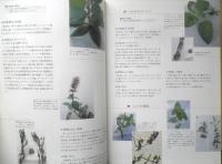 プロのためのハーブ料理テクニック　石井義昭　1999年初版　柴田書店　v