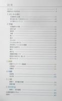 思い通りにできる仏像彫刻　宇野孝光　2009年初版　誠文堂新光社　v