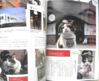 猫ぐらし　2012年vol.3　ニャンドルのベストショット総集編　アスペクトムック　z