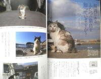 猫ぐらし　2012年vol.3　ニャンドルのベストショット総集編　アスペクトムック　z
