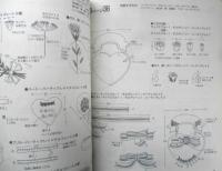ハーティクレイで作るねんどクラフト　草道琴美・橋口晴美共著　1998年初版　ブティック社　x