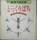 とっくりばち　吉谷昭憲　かがくのとも246号　1989年初版　福音館書店　x