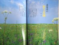 暮しの手帖　2002年6.7月98号　この人に聞きたい/中村哲さん　3