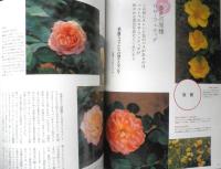 BISES ビズ　2001年6月号No.12　迷っていませんか、あなたの薔薇づくり　プレジデント社　q