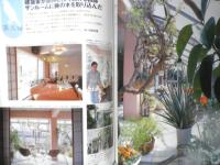 BISES ビズ　2001年6月号No.12　迷っていませんか、あなたの薔薇づくり　プレジデント社　q
