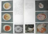 科学の学校 2年5号　昭和27年　光はどう進むか　岩波書店　v