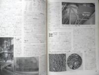科学の学校 3年11号　昭和29年　テレビジョン放送　岩波書店　h