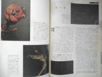 科学の学校 1-10号　1952年　地震　岩波書店　h