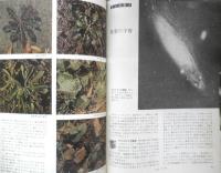 科学の学校 1-12号　1952年　動物標本のつくりかた　岩波書店　h
