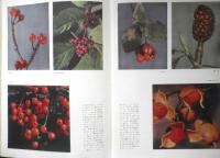 科学の学校 1-9号　1952年　火山　岩波書店　h