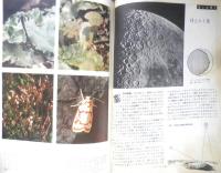 科学の学校 1-5号　1951年　ミツバチとアリ　岩波書店　h