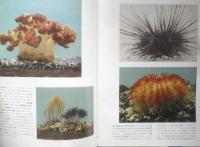 科学の学校 1-4号　1951年　海岸の生物　岩波書店　x