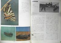 科学の学校 2年1号　1952年　電気とはどんなものか　岩波書店　x