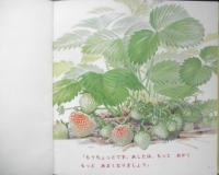いちご　年少版こどものとも85号　平山和子　1984年初版　福音館書店　b
