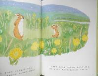 つきみそうがさいた　こどものとも年中向き102号　松竹いね子・さく/堀川真・え　1994年初版　福音館書店　h
