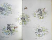 こぐまとりすのさんぽ　こどものとも年中向き　ひらやまえいぞう　1987年初版　福音館書店　l