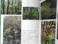 きはともだち　月刊かがくのとも324号　服部道夫・文/姉崎一馬・写真　1996年初版　福音館書店　b