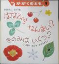 はなびらなんまい？きのみはいくつ？　月刊かがくのとも270号　岸田衿子ぶん/古矢一穂え　1991年初版　福音館書店　b