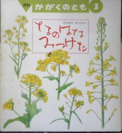 なのはなみつけた　月刊かがくのとも252号　ごんもりなつこ　1990年初版　福音館書店　b