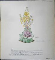 なのはなみつけた　月刊かがくのとも252号　ごんもりなつこ　1990年初版　福音館書店　b