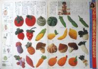 読者が作ったリフォーム手芸傑作集　主婦の友昭和58年2月号付録　q