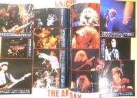 パチ・パチ・ロックンロール　1989年9月号Vol.27　エレファントカシマシ　3
