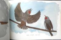 はるになったら　こどものとも年中向き432号　2022年初版　福音館書店　x
