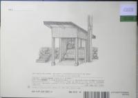 じろうひとりででんしゃにのる　こどものとも年中向き293号　2010年初版　福音館書店　x
