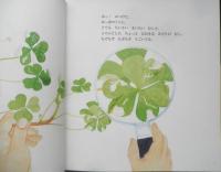 ベランダでみつけたちいさなむし　ヤマトシジミ 　月刊かがくのとも531号　2013年初版　福音館書店　a
