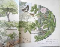 よるになると　月刊かがくのとも484号　2009年初版　福音館書店　u
