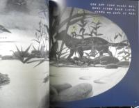 よるになると　月刊かがくのとも484号　2009年初版　福音館書店　u
