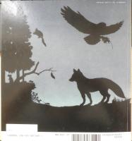 よるになると　月刊かがくのとも484号　2009年初版　福音館書店　u
