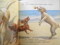 いぬのさんぽ　月刊かがくのとも492号　2010年初版　福音館書店　u
