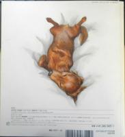 いぬのさんぽ　月刊かがくのとも492号　2010年初版　福音館書店　u
