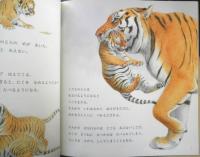 とら きたぐにのもりにいきる　月刊かがくのとも490号　2010年初版　福音館書店　u
