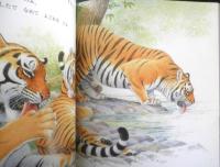 とら きたぐにのもりにいきる　月刊かがくのとも490号　2010年初版　福音館書店　u
