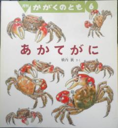 あかてがに　月刊かがくのとも483号　2009年初版　福音館書店　c
