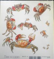 あかてがに　月刊かがくのとも483号　2009年初版　福音館書店　c
