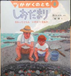 しおだまり さわってごらん いそのいきもの 月刊かがくのとも485号　2009年初版　福音館書店　c
