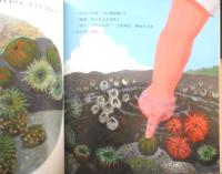 しおだまり さわってごらん いそのいきもの 月刊かがくのとも485号　2009年初版　福音館書店　c
