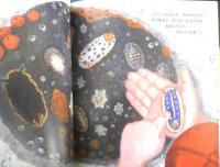 しおだまり さわってごらん いそのいきもの 月刊かがくのとも485号　2009年初版　福音館書店　c
