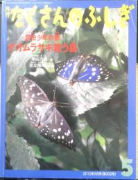 オオムラサキ舞う森 昆虫少年の夢 月刊たくさんのふしぎ302号　2010年初版　福音館書店　a

