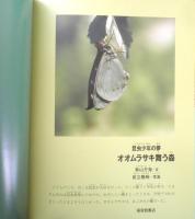 オオムラサキ舞う森 昆虫少年の夢 月刊たくさんのふしぎ302号　2010年初版　福音館書店　a

