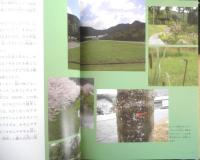 オオムラサキ舞う森 昆虫少年の夢 月刊たくさんのふしぎ302号　2010年初版　福音館書店　a
