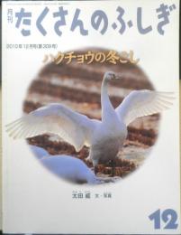 ハクチョウの冬ごし 月刊たくさんのふしぎ309号　2010年初版　福音館書店　a
