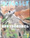 キタキツネのおかあさん　月刊たくさんのふしぎ304号　2010年初版　福音館書店　a
