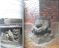 ふしぎな動物たち 月刊たくさんのふしぎ306号　2010年初版　福音館書店　g
